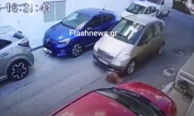 σκυλοσ